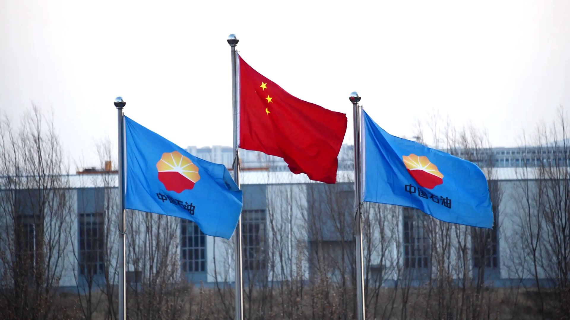 ����ʯ�ͿƼ���������