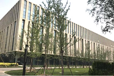 ����ʯ�ͿƼ���������